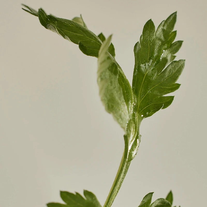 Beauty of Joseon Matte Sun Stick - Image 10