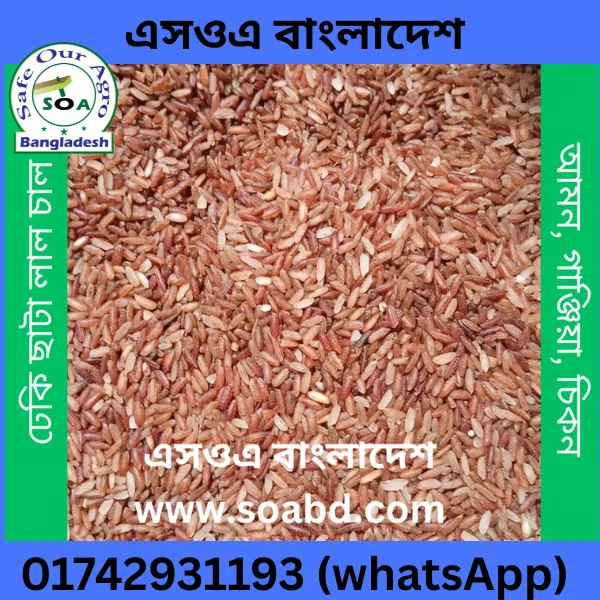 ঢেঁকি ছাটা লাল চাল