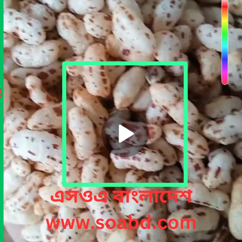 হাতে ভাজা লাল মুড়ি