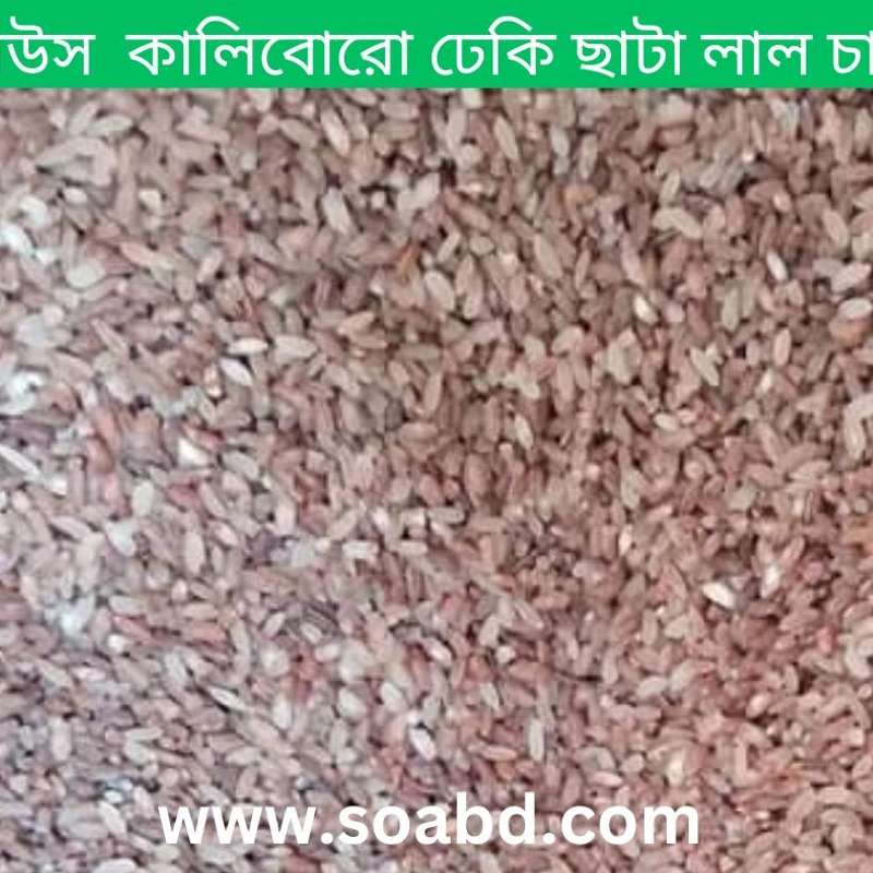 আউস চাল ঢেঁকি ছাটা লাল চাল