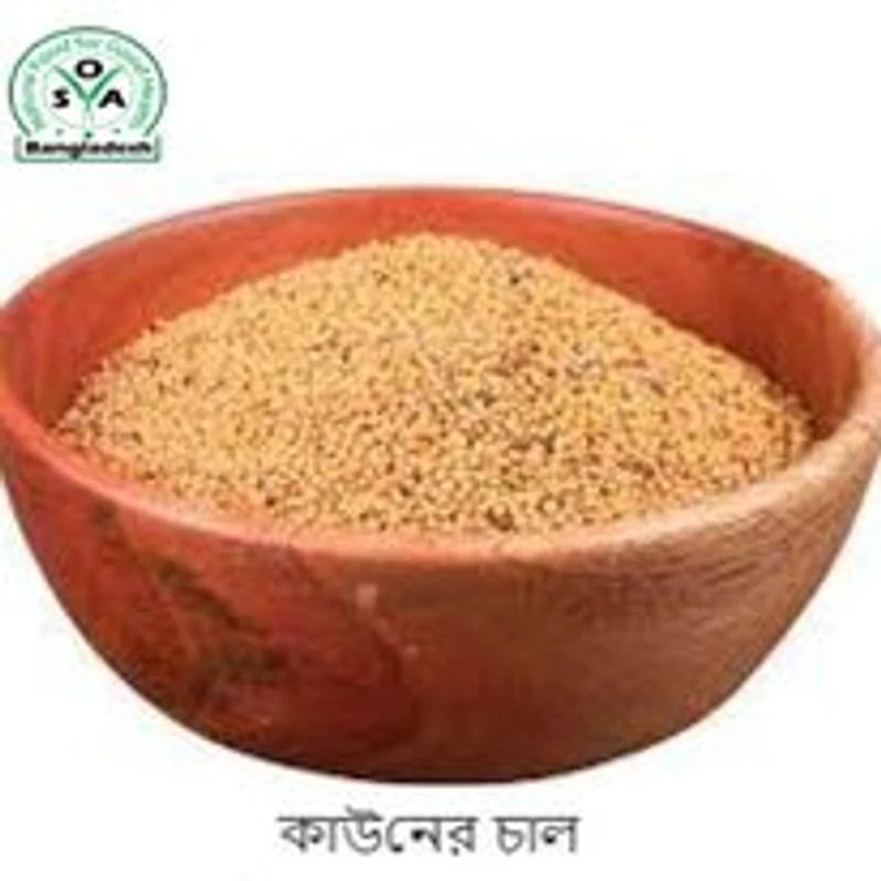 কাউনের চাল