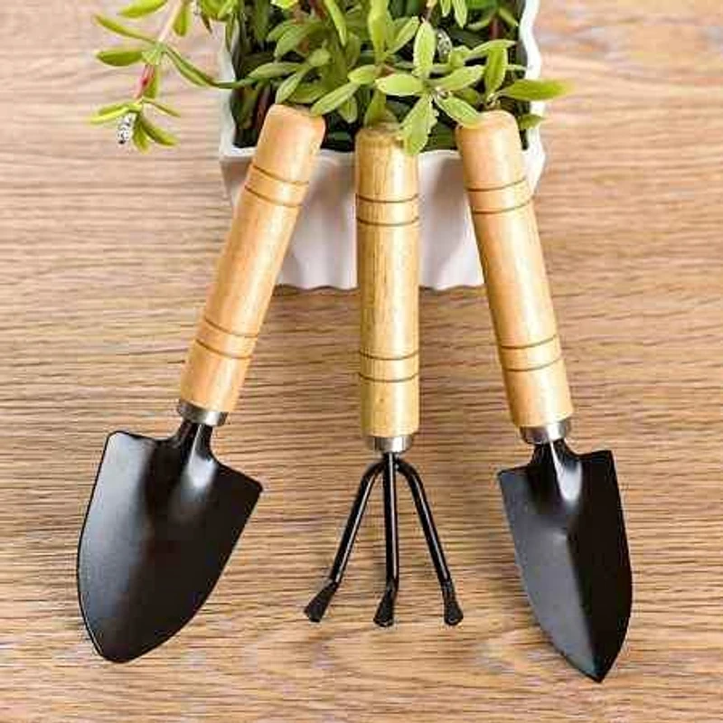 3pcs mini garden tools - Image 3
