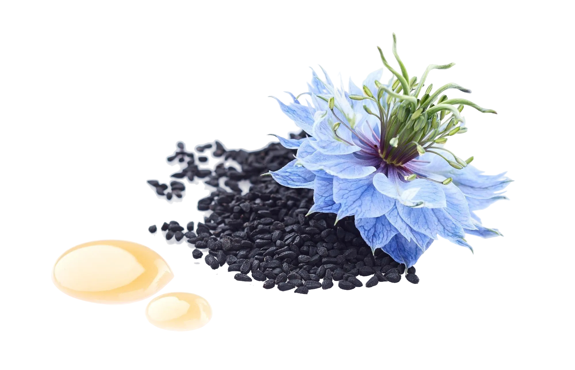 প্রিমিয়াম কালোজিরা তেল