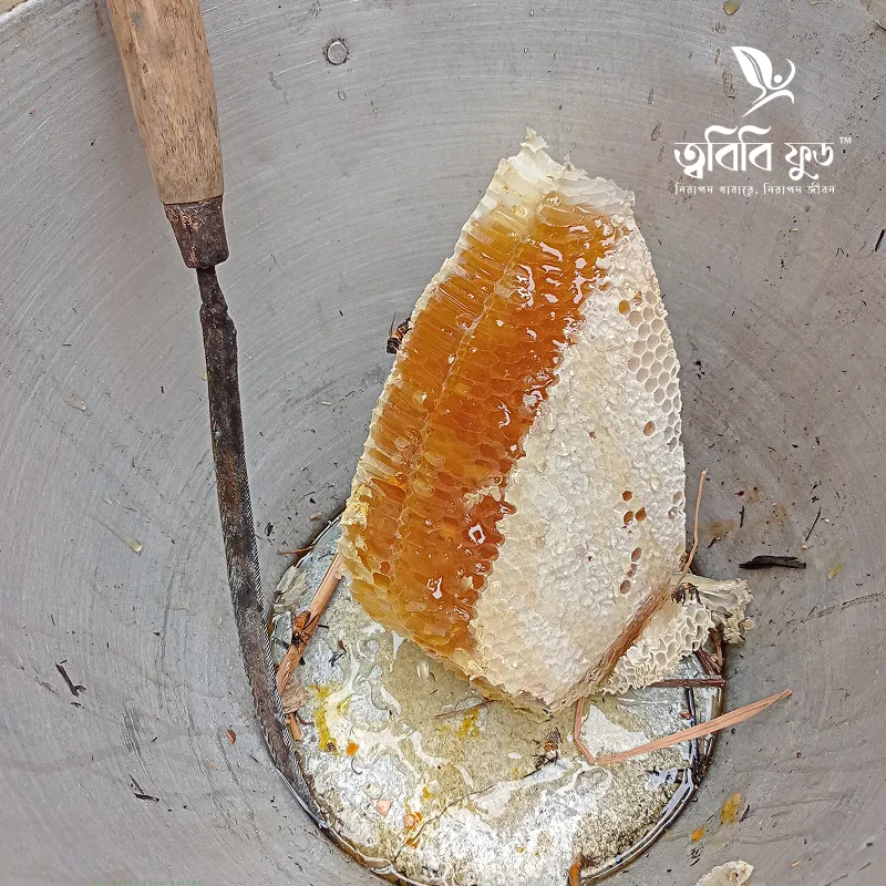 Natural Honey-প্রাকৃতিক চাকের মধু  (1 kg)
