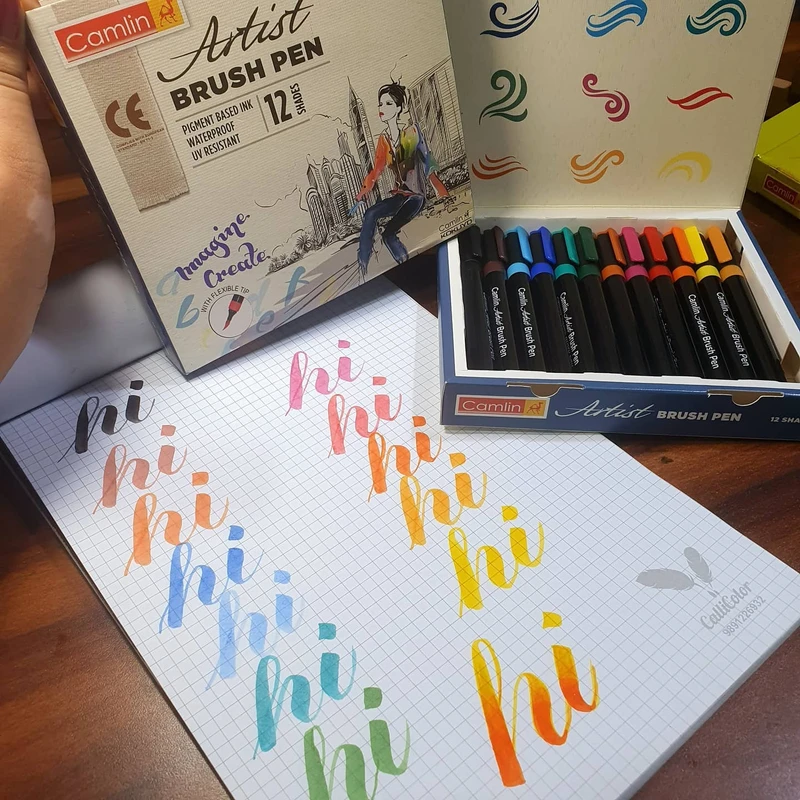 Camlin Artist Brush Pen