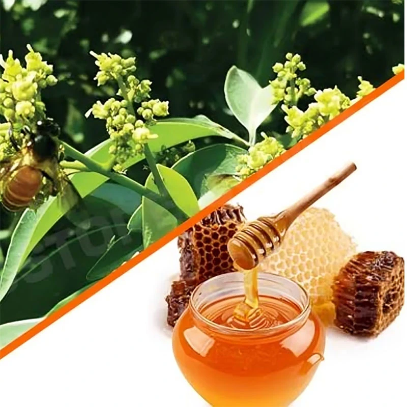 লিচু ফুলের মধু ১ কেজি (Litchi Flower Honey 1kg)