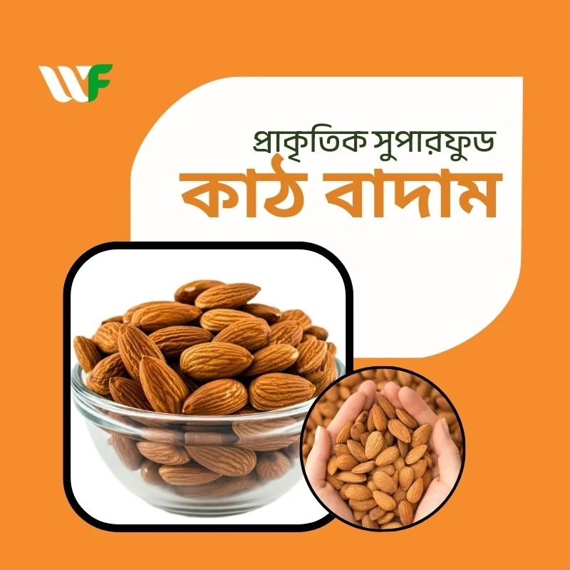 কাঠ বাদাম