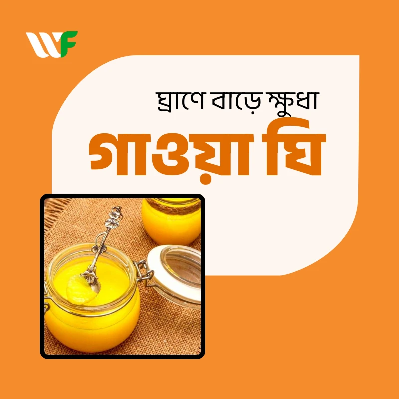 গাওয়া ঘি