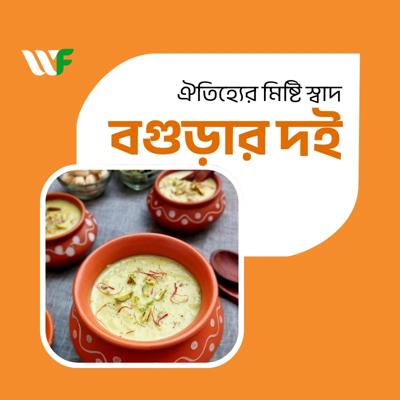 বগুরার দই