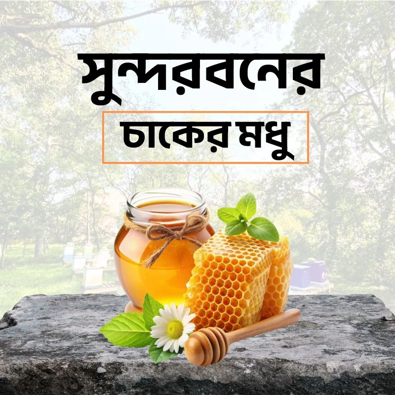 সুন্দরবনের চাকের মধু