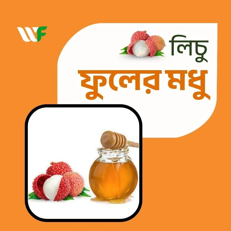 লিচু ফুলের মধু