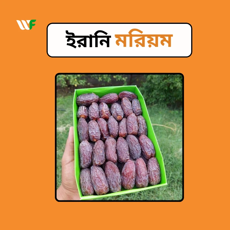 ইরানি মরিয়ম