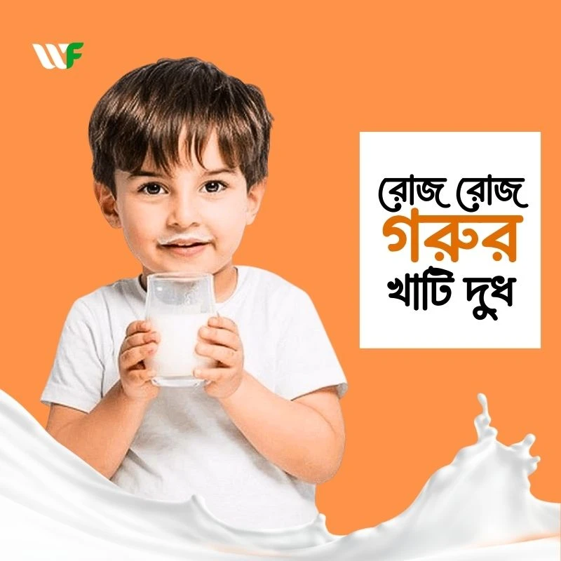 গরুর দুধ